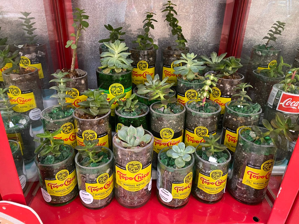 Topo Chico Planters