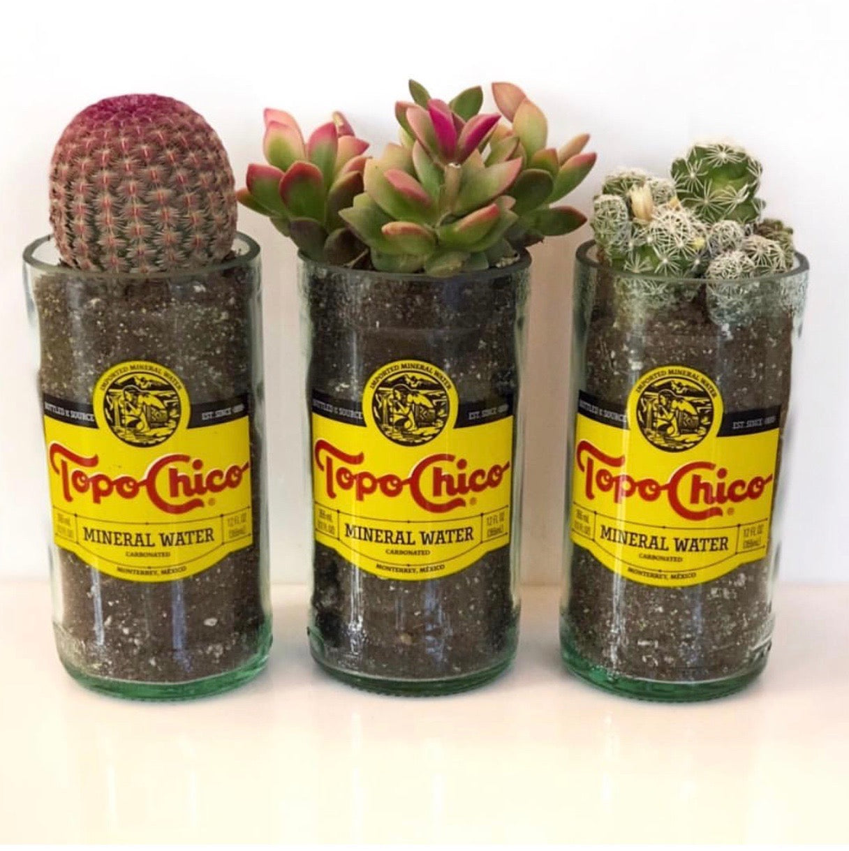 Topo Chico Planters